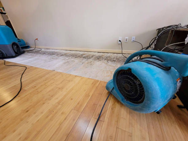 Professional Flood Damage Cleanup technician working in Eaton, CO